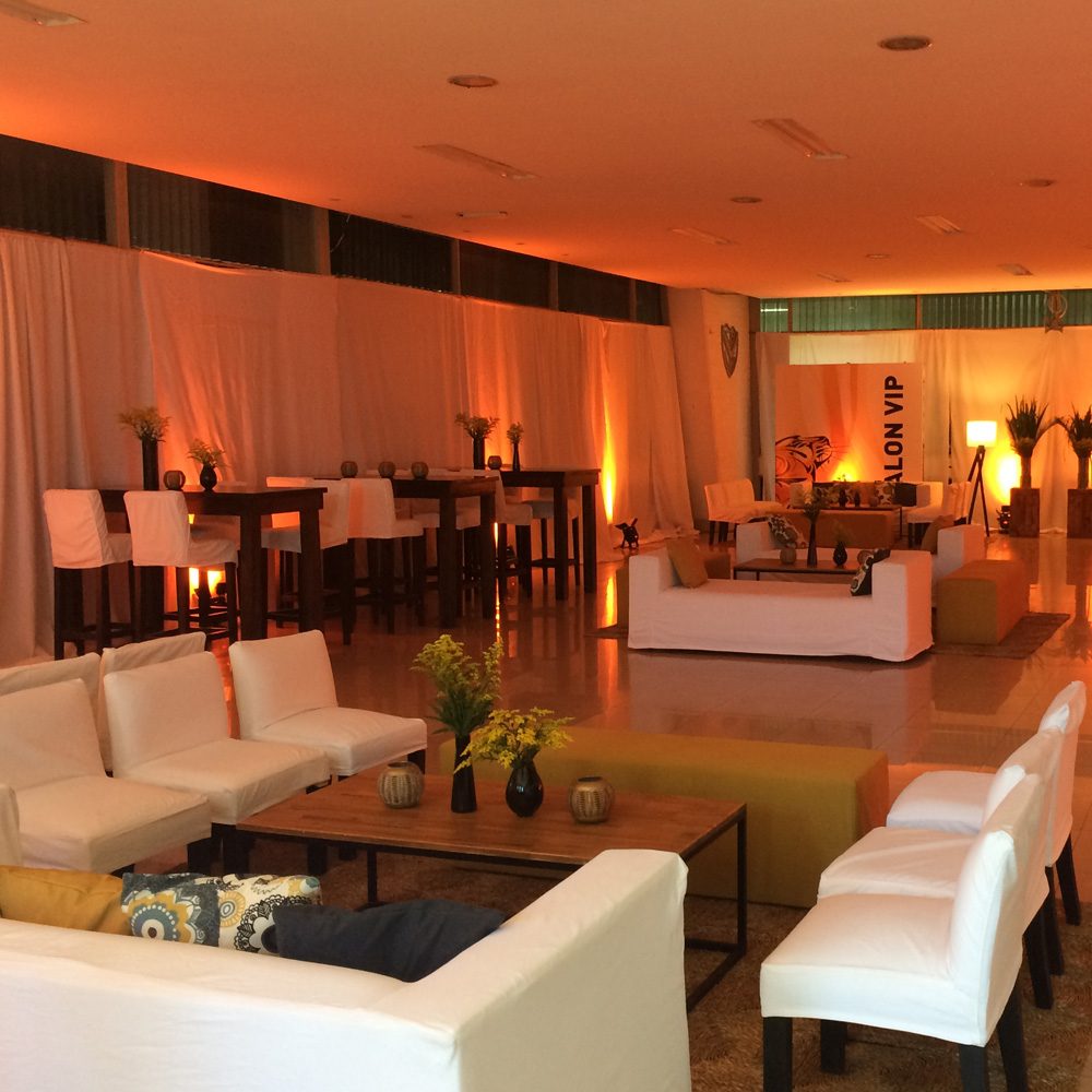 Living de gabardina - Imagen 4